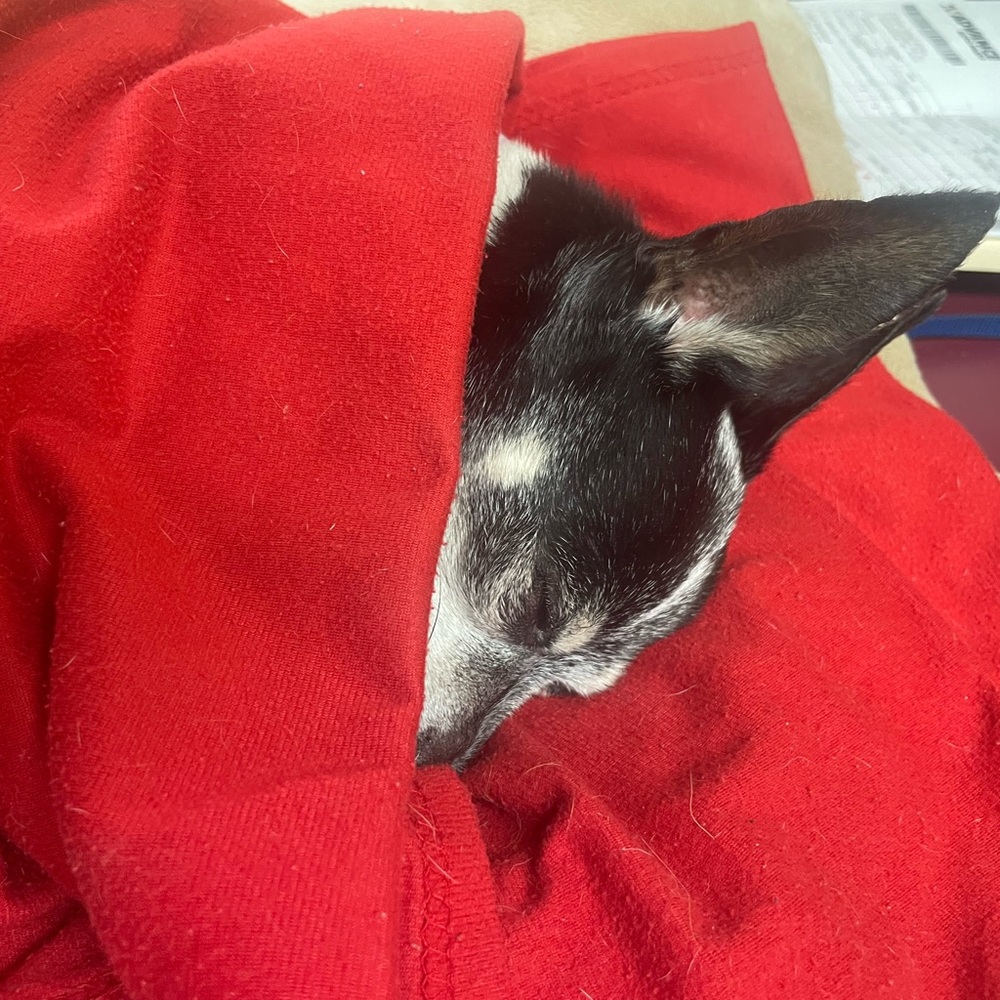 Meet your Posher, Sara